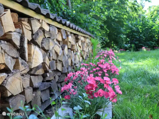Location de Vacances Allemagne, Eifel, Lissendorf, maison de vacances - Extraordinaire dans l'Eifel Jardin derrière la maison