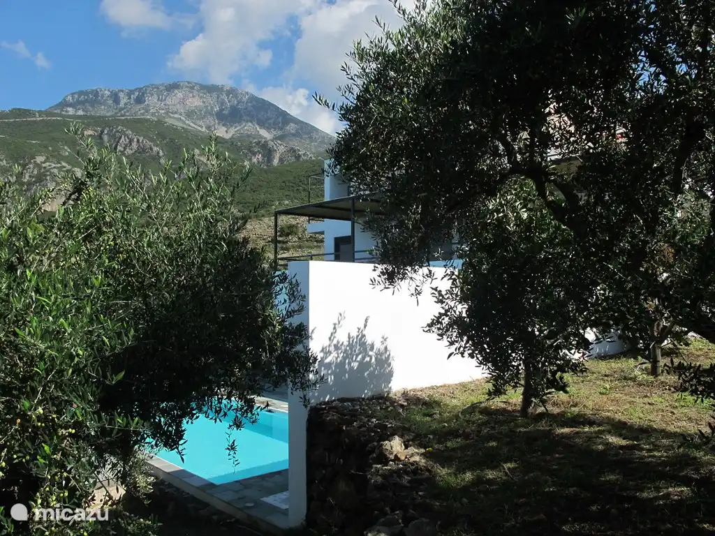 Der Poolbereich im Olivenhain