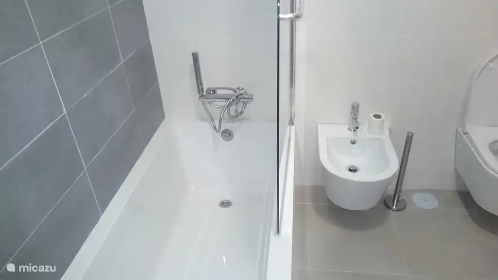 Salle de bain avec baignoire, WC, douche