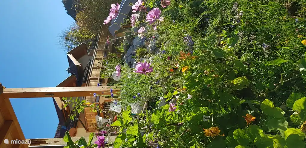 La splendeur des fleurs comme on peut s'y attendre en Carinthie Il y a quelque chose qui fleurit toute l'année.
