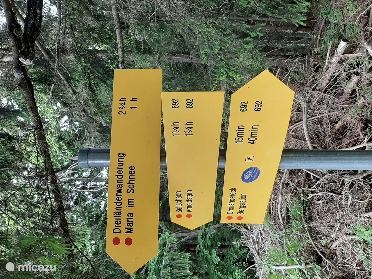 Assez de promenades à faire.
Partout en Carinthie, il y a des points de départ pour des visites, variant d'une ou plusieurs heures et différents niveaux de difficulté, de débutant à avancé.