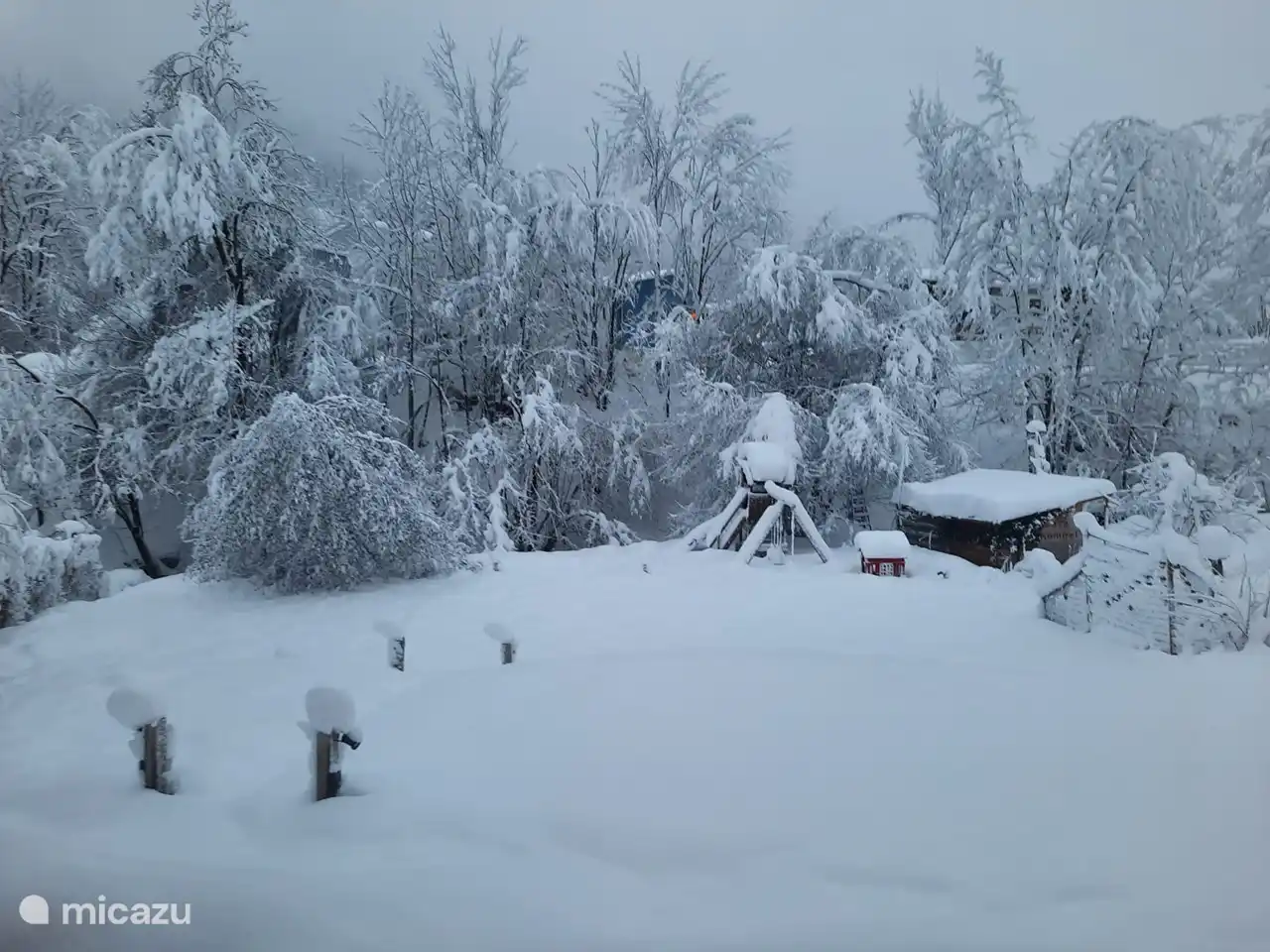 des merveilles d'hiver