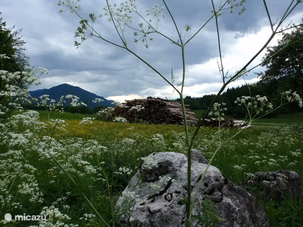 Aux alentours de Seltschach, pour tout voir et tout visiter, 1 semaine c'est en fait beaucoup trop court.