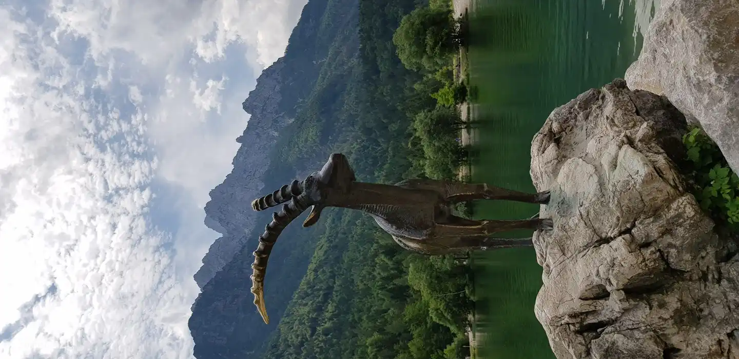 Alpes juliennes ! RECOMMANDÉ! SLOVÉNIE !!!, juste au coin de chez nous, à 20 minutes de Seltschach, le parc naturel commence avec de belles rivières et de hautes montagnes et des promenades qui les accompagnent.
PN du Triglav. ACTION.!!!!