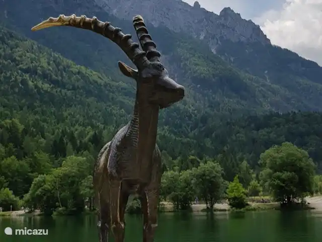 Casa Kumpel | Autriche, Carinthie, Arnoldstein - maison de vacances Alpes juliennes ! RECOMMANDÉ! SLOVÉNIE !!!, juste au coin de chez nous, à 20 minutes de Seltschach, le parc naturel commence avec de belles rivières et de hautes montagnes et des promenades qui les accompagnent.
PN du Triglav. ACTION.!!!!