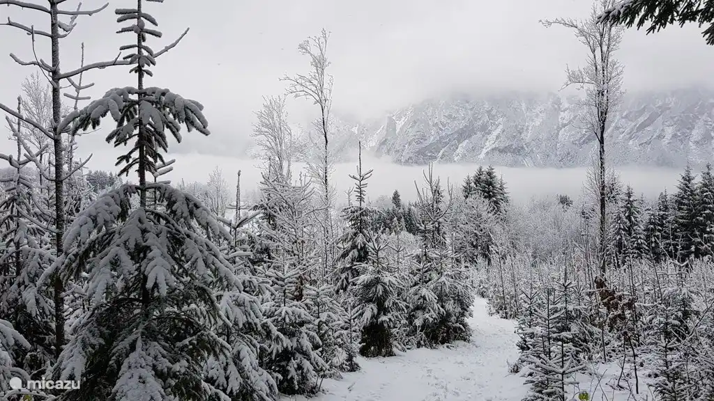 Pays des merveilles d'hiver près de notre maison.