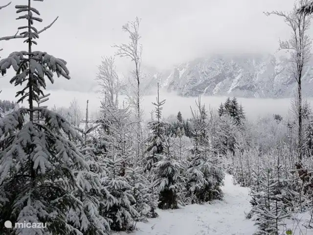 Casa Kumpel | Autriche, Carinthie, Arnoldstein - maison de vacances Pays des merveilles d'hiver près de notre maison.