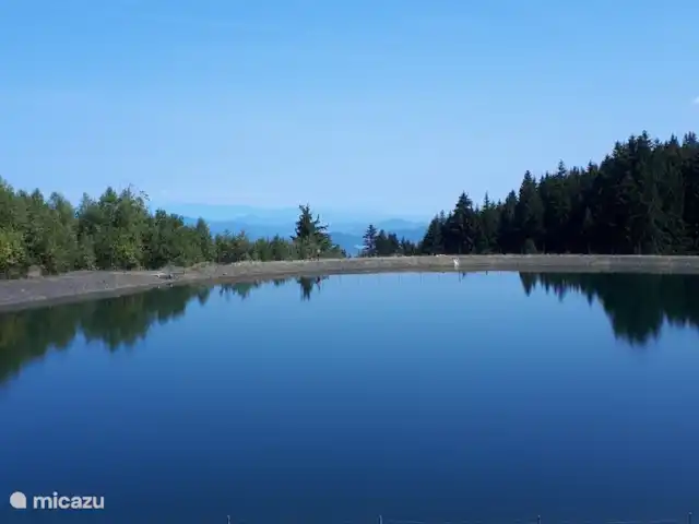 Casa Kumpel | Autriche, Carinthie, Arnoldstein - maison de vacances Vue depuis le téléski jusqu'au lac tampon.
Vous pouvez vous baigner dans un lac tampon sur la Gerlitze à mi-parcours d'une randonnée en montagne.