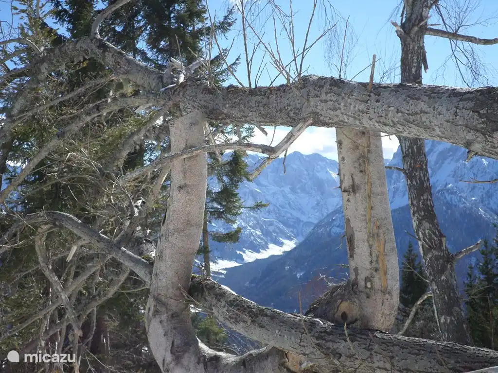 Voir Dreilandereck, vers l'Italie et la Slovénie.