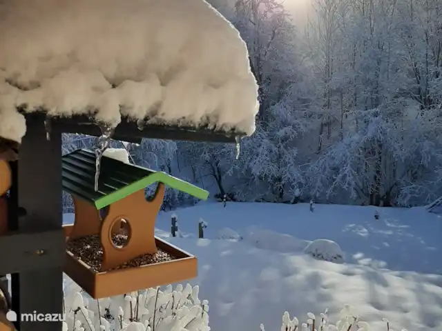 Casa Kumpel | Autriche, Carinthie, Arnoldstein - maison de vacances #Casa Kumpel est tombé beaucoup de neige le 13-12-2022