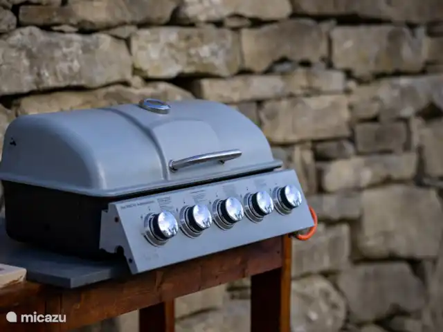 Villa Lucciola huren in Italië, Piëmont, Saliceto - villa Gas BBQ