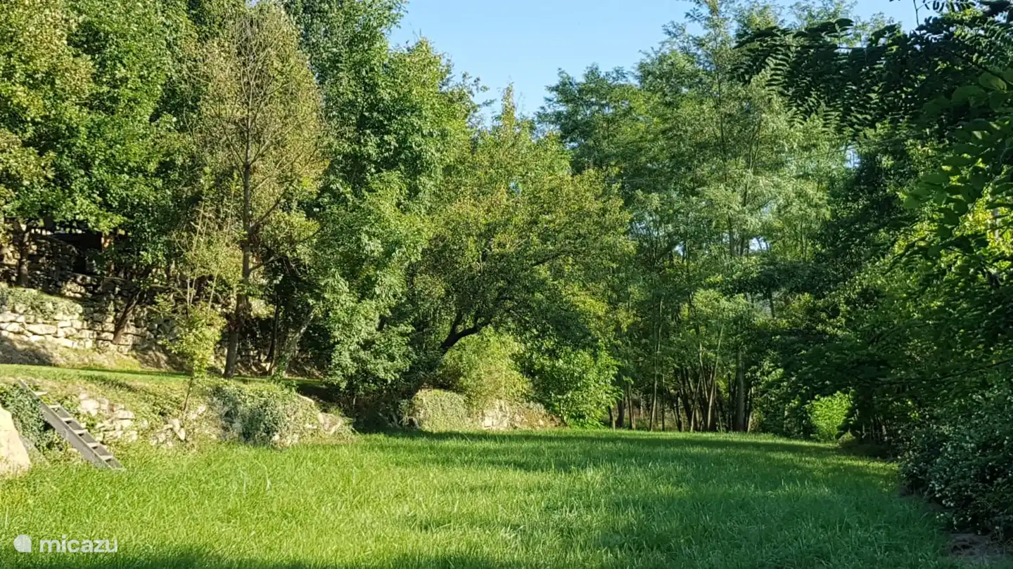 Ein Teil des Gartens