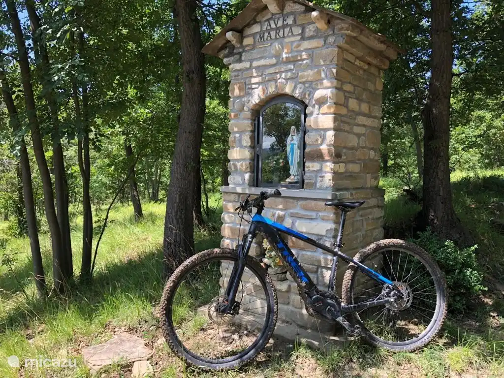 Es gibt Mountainbike-Strecken in der Umgebung und ein Mountainbike (E-)Bike kann gemietet werden.