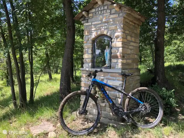 Villa Lucciola huren in Italië, Piëmont, Saliceto - villa Er zijn Mountainbike routes in de omgeving, en er kan een mountain (E-)bike worden gehuurd.