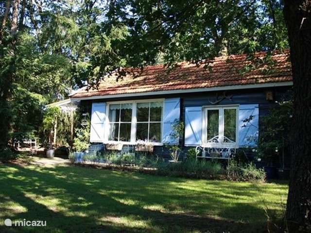 Holiday home in Netherlands, Overijssel, Rheeze - holiday house The pimpelmeesje