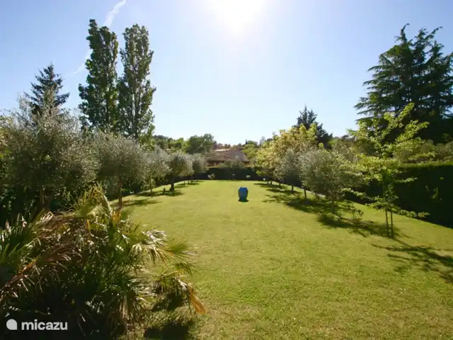 Le Petit Paradis huren in Frankrijk, Var, Salernes - villa Vrijwel vlak gazon met olijfbomen. Achterin komt een trampoline.