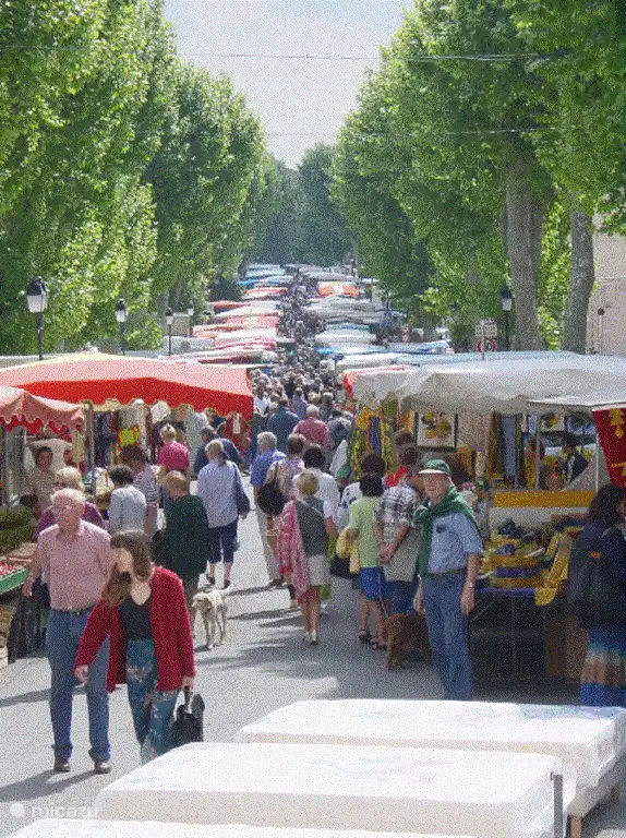 Lorgues op 10 minuten.