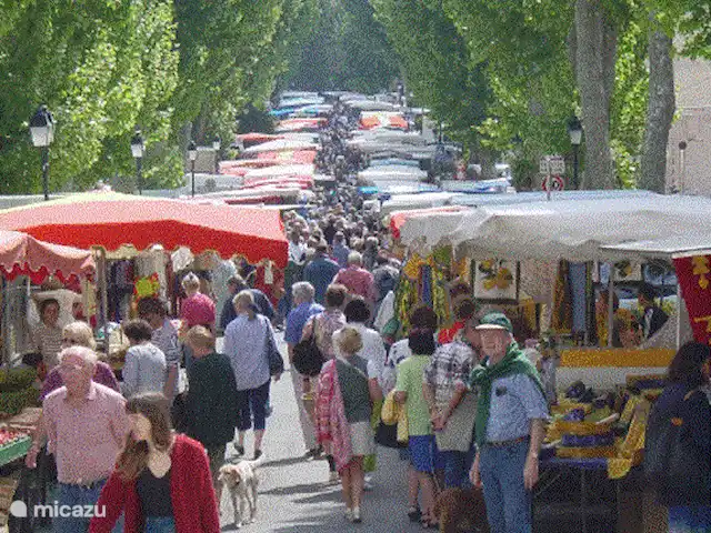 Le Petit Paradis huren in Frankrijk, Var, Salernes - villa Lorgues op 10 minuten.
