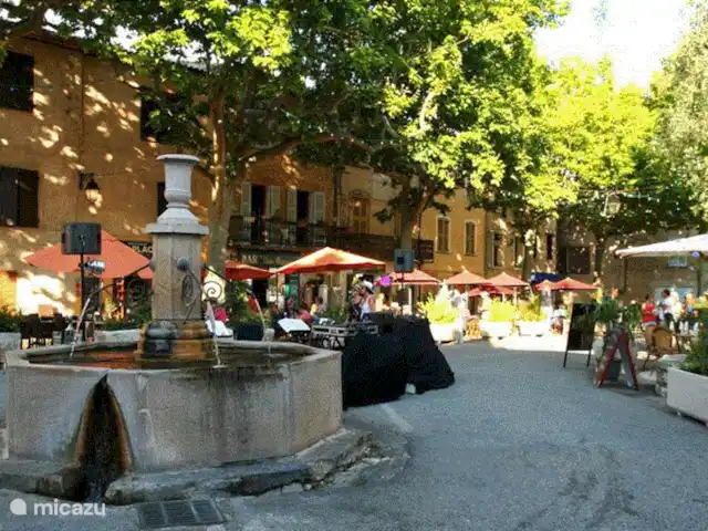Le Petit Paradis huren in Frankrijk, Var, Salernes - villa Tourtour op 10 minuten.