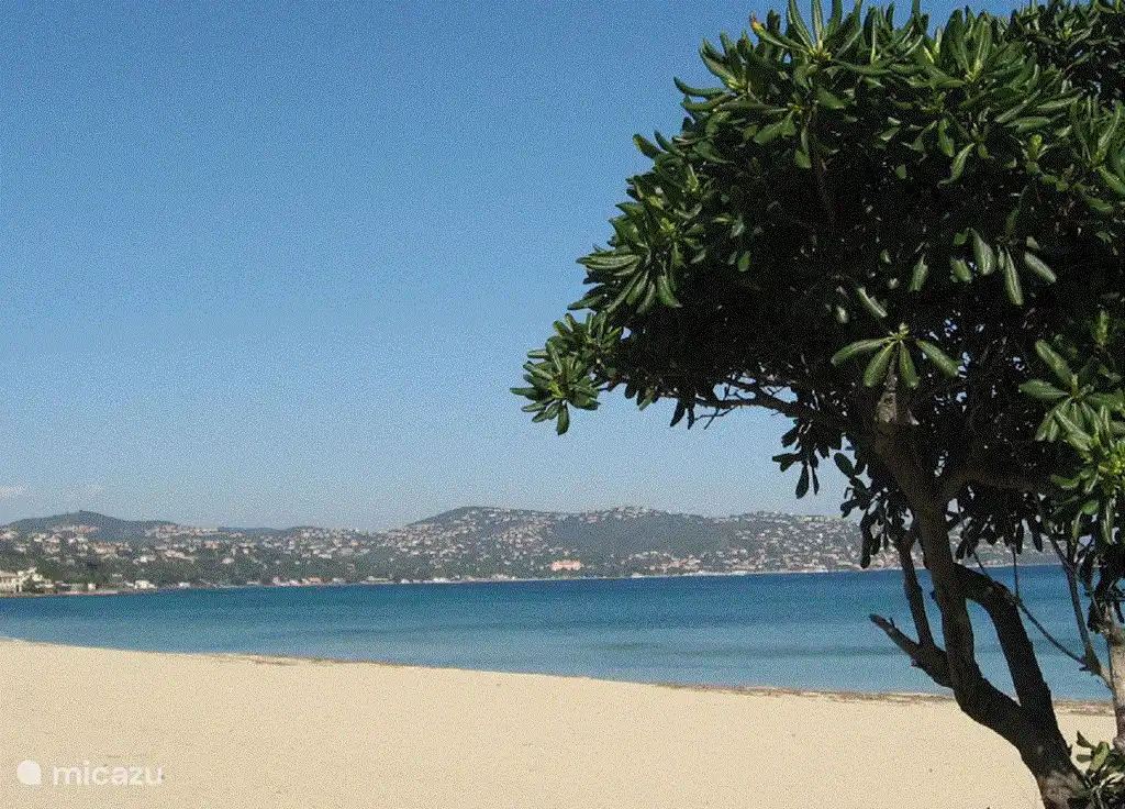 Sainte Maxime aan de Middellandse Zee op 50 minuten 