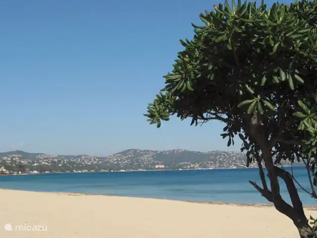 Le Petit Paradis huren in Frankrijk, Var, Salernes - villa Sainte Maxime aan de Middellandse Zee op 50 minuten