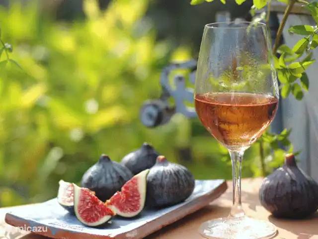 Le Petit Paradis huren in Frankrijk, Var, Salernes - villa Genieten!!