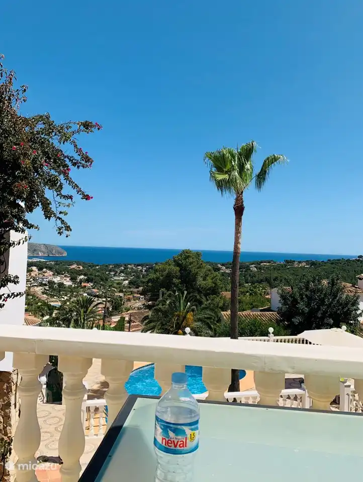 Typisch spanische Palmen