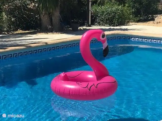 Casa Ruiz Jávea | Espagne, Costa Blanca, Jávea - finca Piscine