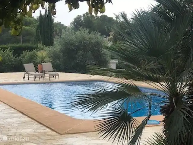 Casa Ruiz Jávea | Espagne, Costa Blanca, Jávea - finca Vue latérale de la piscine dans un jardin bien entretenu.