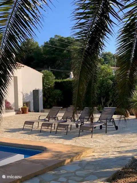 Terrasse ensoleillée avec chaises longues