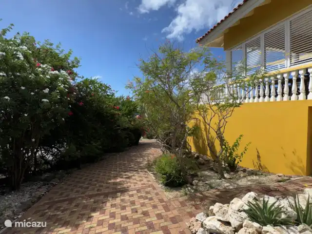 Casa Yuana en Curazao, Bandabou (oeste), Coral Estate, Rif St.Marie - casa vacacional conducir