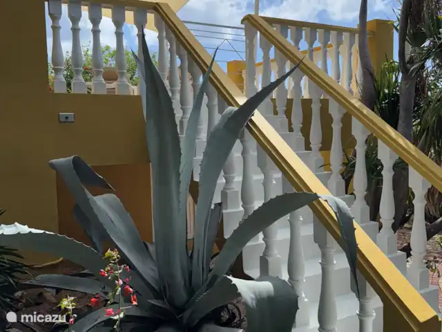 Casa Yuana en Curazao, Bandabou (oeste), Coral Estate, Rif St.Marie - casa vacacional jardín