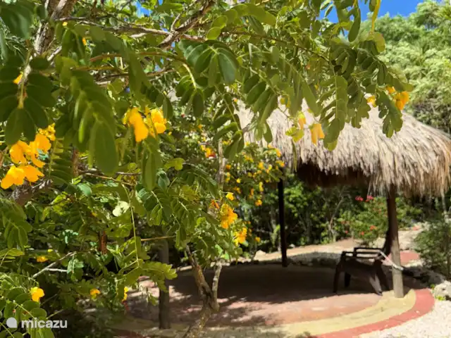 Casa Yuana en Curazao, Bandabou (oeste), Coral Estate, Rif St.Marie - casa vacacional Jardín/Palapa
