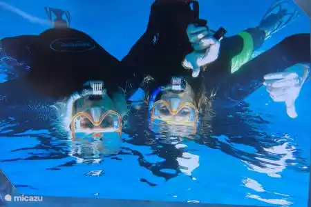 Plongée sous-marine / snorkeling