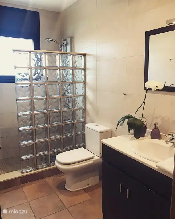 Bathroom with walking-in shower