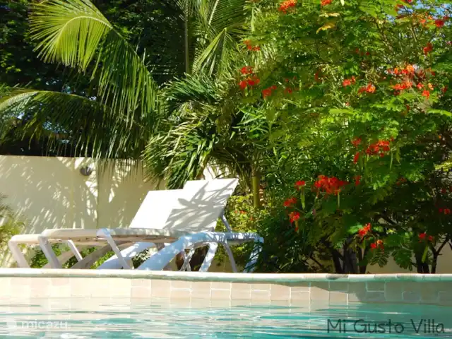 Location de Vacances Aruba, Paradera, Modanza, villa - Mi Gusto Villa Un regard dans le jardin