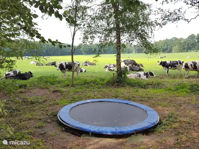 HoogTwente près d'Ootmarsum | Pays-Bas, Overijssel, Ootmarsum - maison de vacances Le trampoline surplombe la prairie.