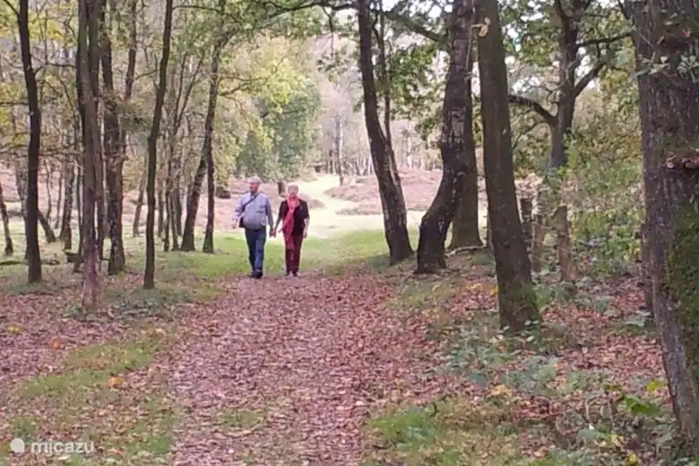 Tussen de natuurgebieden Dal van de mosbeek en het Springendal.