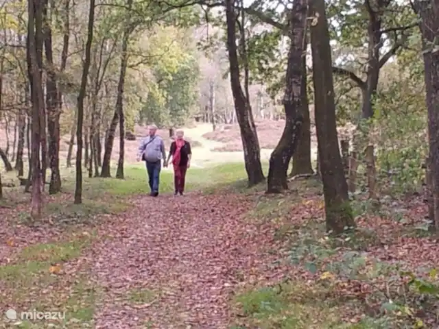 HoogTwente près d'Ootmarsum | Pays-Bas, Overijssel, Ootmarsum - maison de vacances Entre les réserves naturelles Dal van de Mosbeek et Springendal.