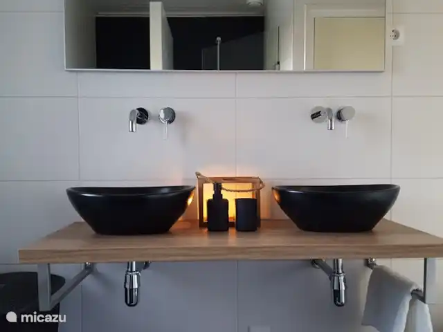 HoogTwente près d'Ootmarsum | Pays-Bas, Overijssel, Ootmarsum - maison de vacances Salle de bain rénovée
