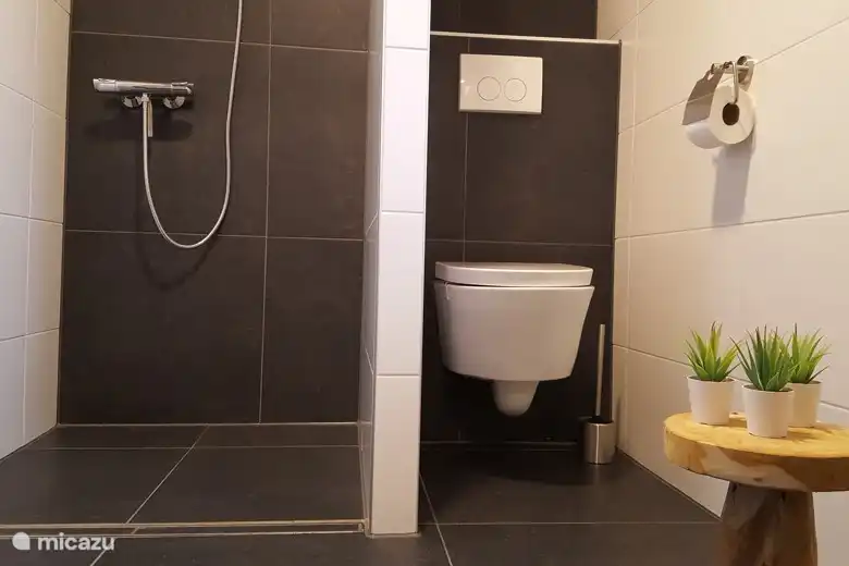 shower and 2nd toilet