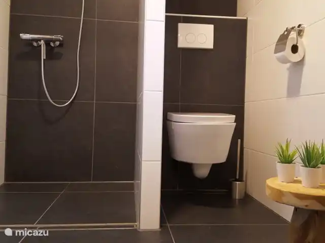 HoogTwente près d'Ootmarsum | Pays-Bas, Overijssel, Ootmarsum - maison de vacances douche et 2e toilette