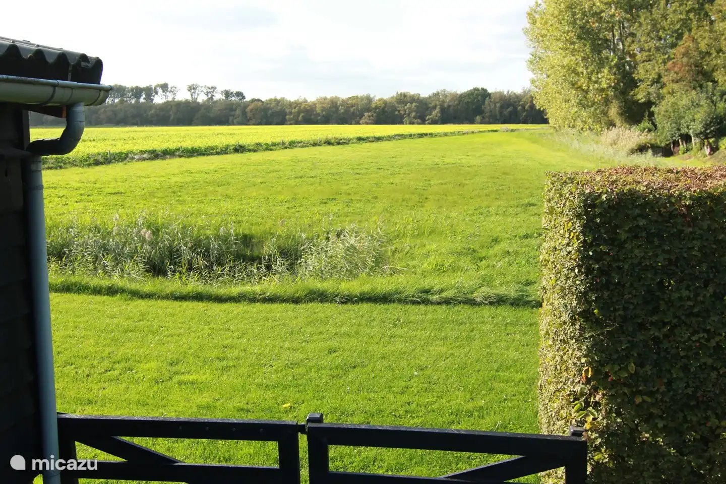 the underlying ecological corridor