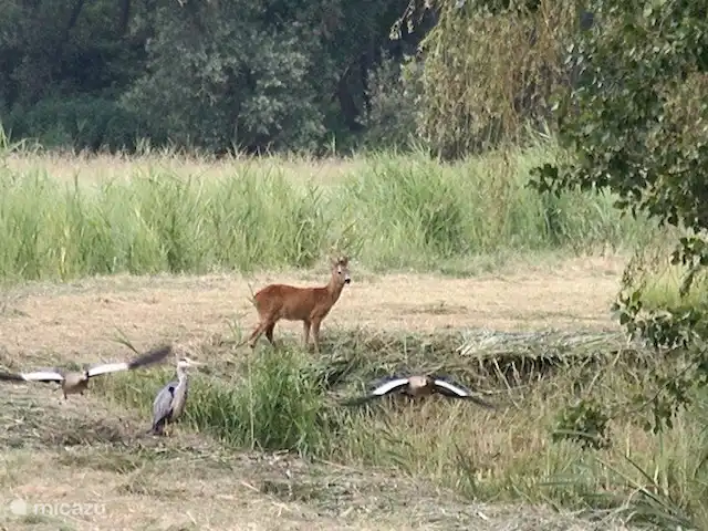casa vacacional en Países Bajos, Barbante Septentrional, Hank – Pensión 'El Taller' Fotografiado desde la habitación