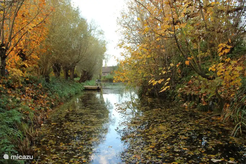 Just about in the backyard