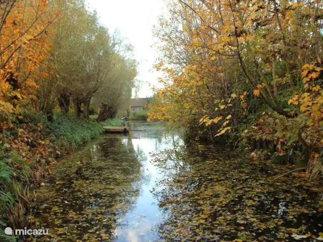 casa vacacional en Países Bajos, Barbante Septentrional, Hank – Pensión 'El Taller' Casi en el patio trasero