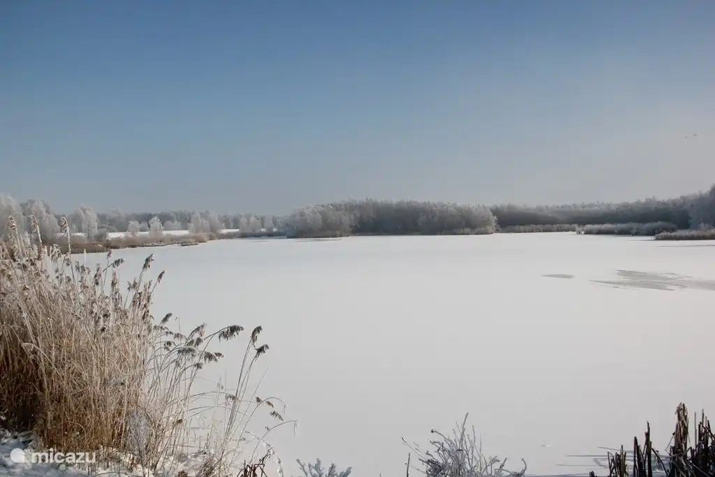Winter in the Biesbosch