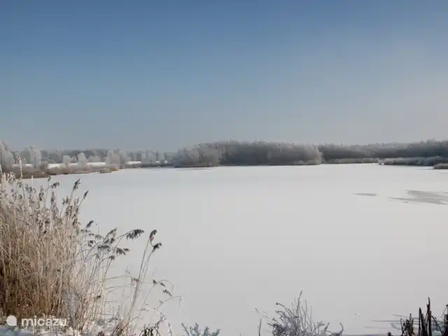 casa vacacional en Países Bajos, Barbante Septentrional, Hank – Pensión 'El Taller' Invierno en el Biesbosch