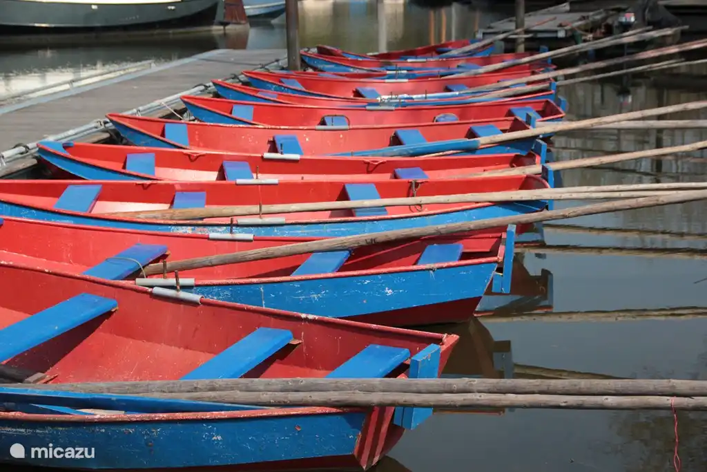 Nice sailing in the Biesbosch with a rented (motor) boat or canoe. 