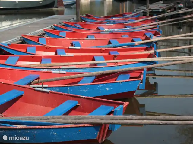 casa vacacional en Países Bajos, Barbante Septentrional, Hank – Pensión 'El Taller' Disfrute navegando en el Biesbosch con un barco (motor) alquilado o una canoa. También puedes ir con el barco susurrante.